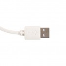 Christmas Village thumbnail