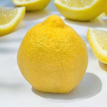 Lemon (Såpe)