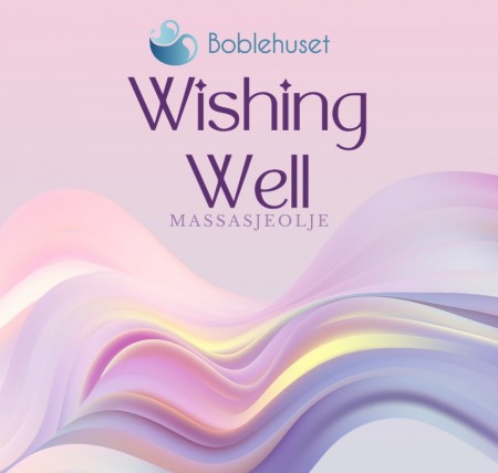 Wishing Well travel